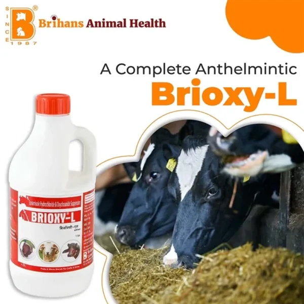 Brioxy-L Liquid - Image 2