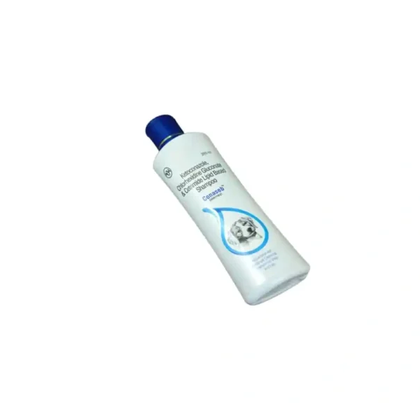 Conaseb - Image 3