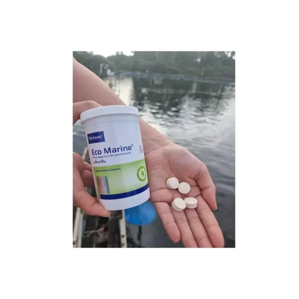 Eco Marine - Image 3