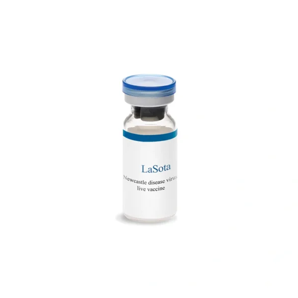LASOTA VACCINE - Image 2