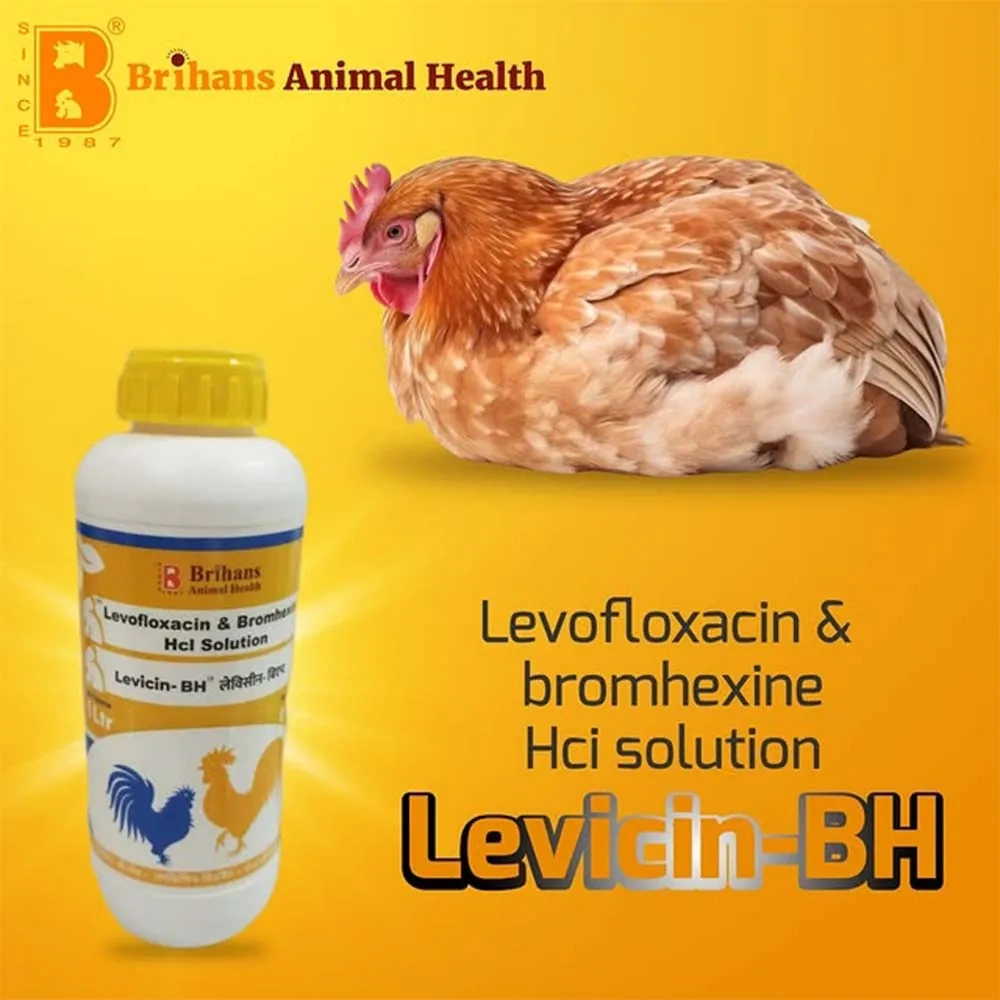 Levicin – BH - Image 2