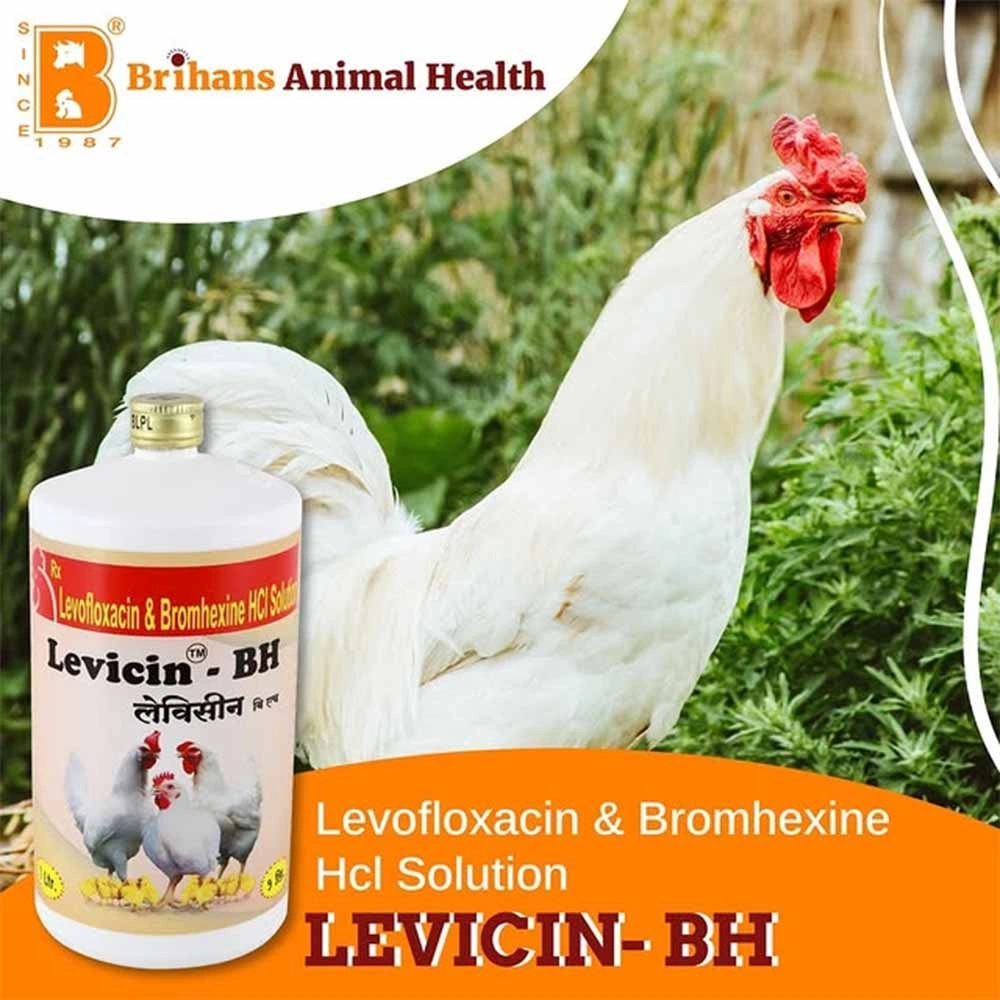 Levicin – BH - Image 3