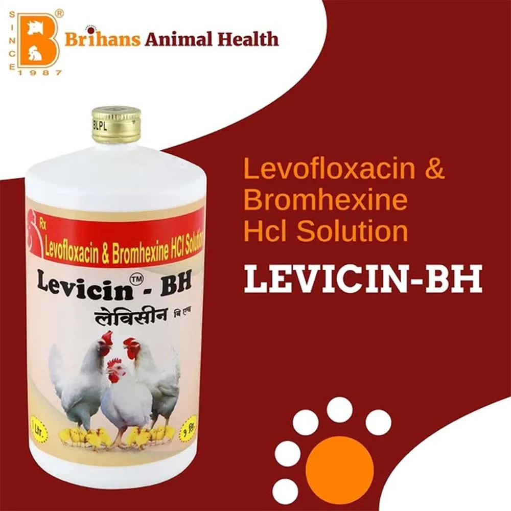 Levicin – BH - Image 5
