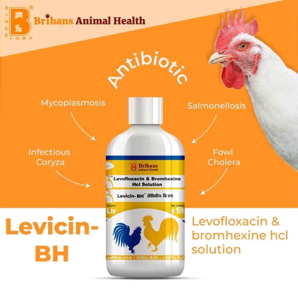 Levicin – BH - Image 4