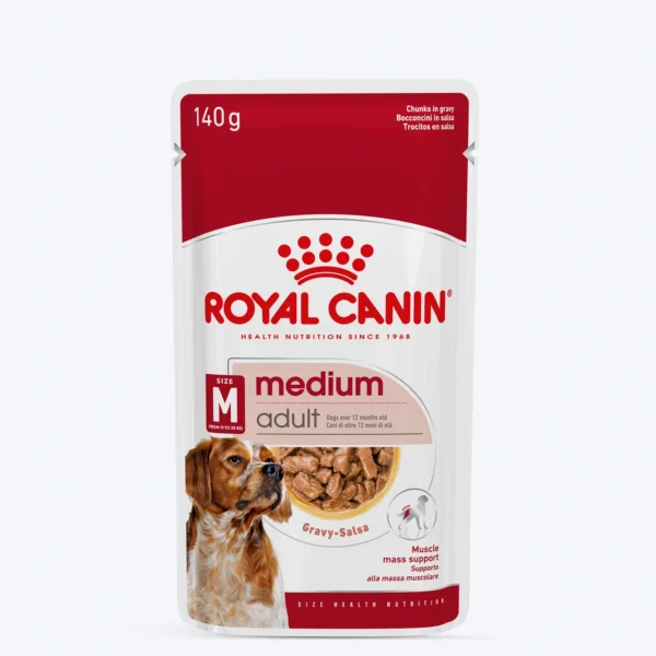 Medium Adult Gravy