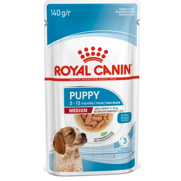 Medium Puppy (Gravy)