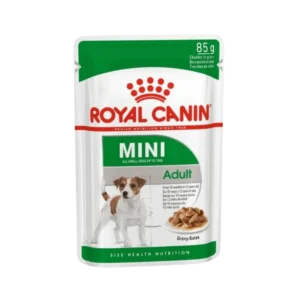 Mini Adult (Gravy)