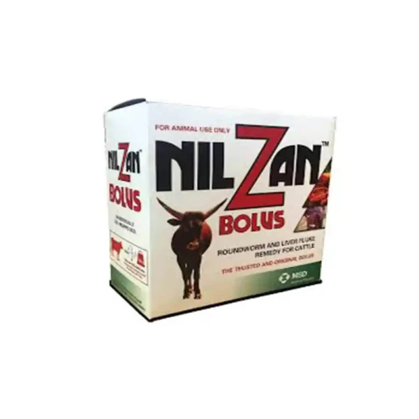 Nilzan Bolus - Image 2