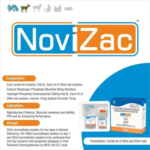 NoviZac - Image 6