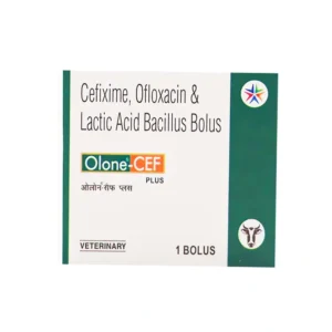 Olone-CEF Plus Bolus