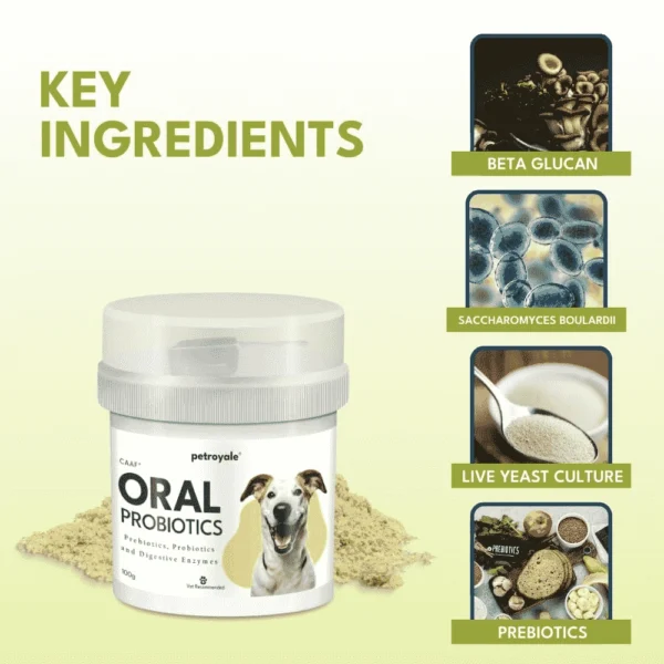 Oral Probiotics - Image 6