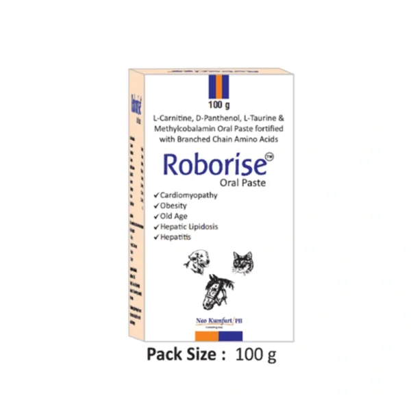 Roborise