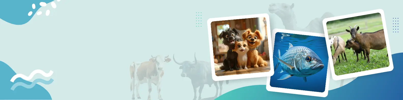 MyAnimal Raipur