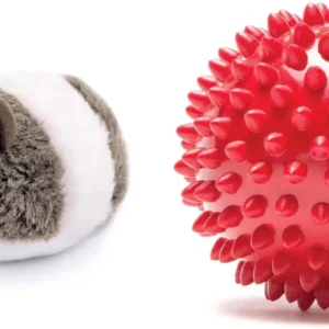Chew Soft Chew Spiked Mouse Toys for Puppy