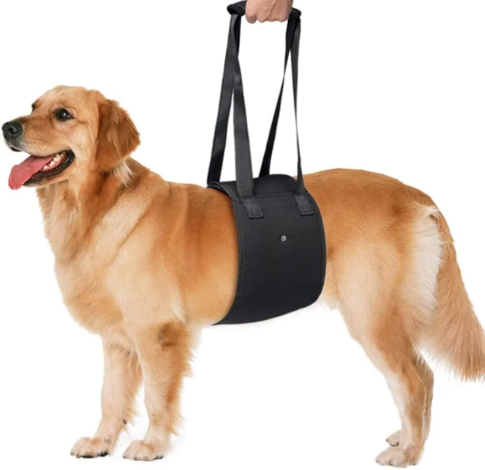 Belly Support for Dogs | Lift Support Harness | Pet Belly Support Belt - Image 2