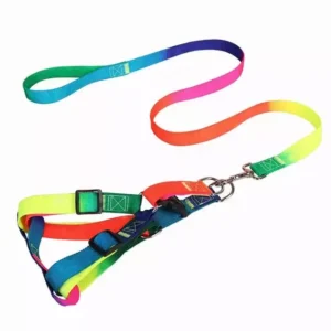 Dog Harness Set 15mm