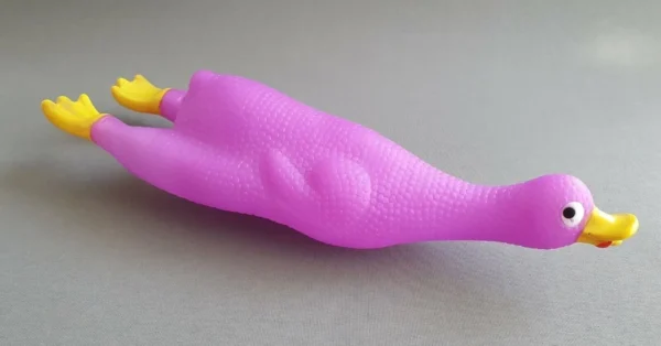 Duck Squeaker Dog - Image 3