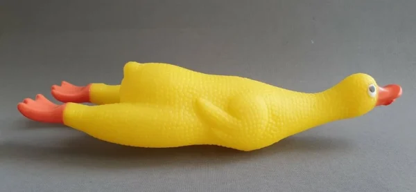 Duck Squeaker Dog - Image 4
