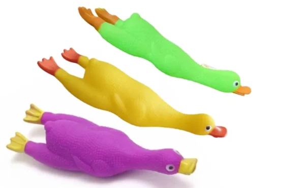 Duck Squeaker Dog - Image 5