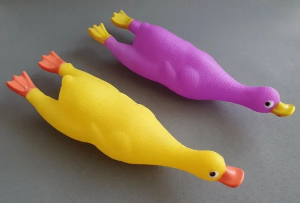 Duck Squeaker Dog