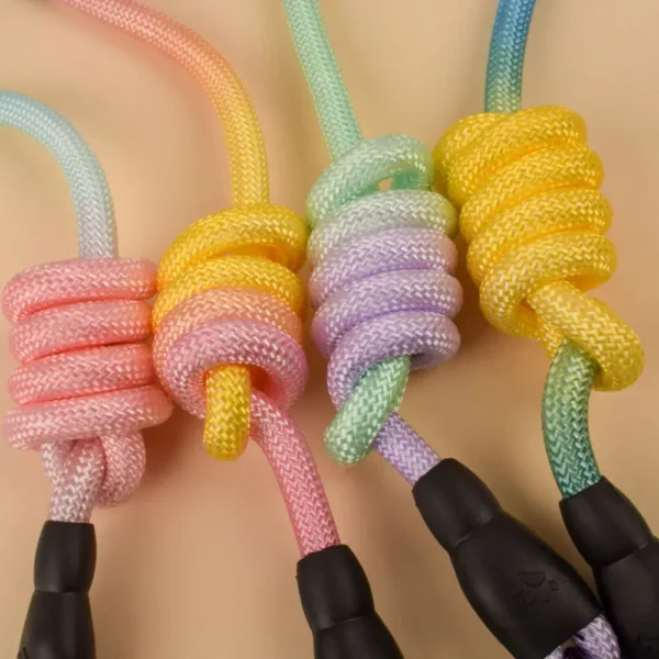Pet 10mm Harness Set - Image 4