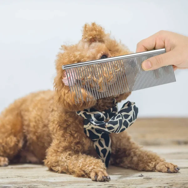 Pet Comb with 62 Needles-Medium Size - Image 5