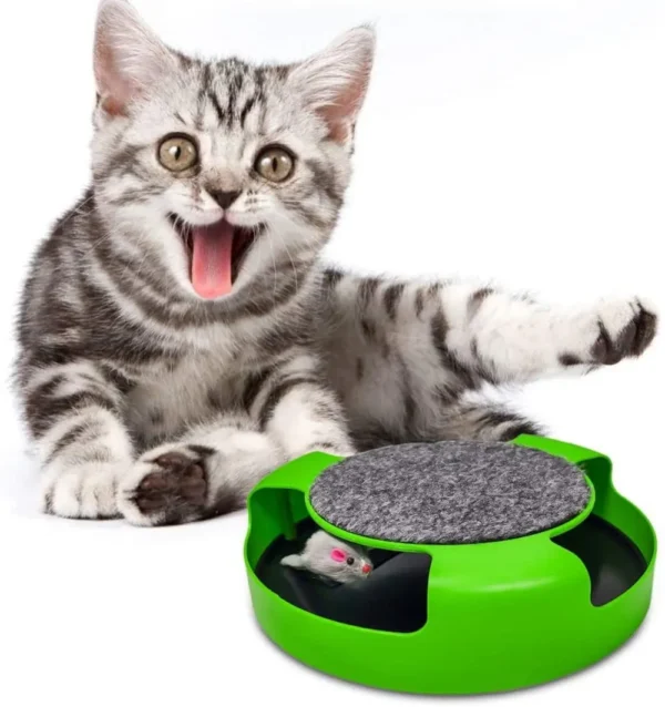 Pet Tumbler Mouse – Color Box - Image 5