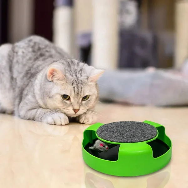 Pet Tumbler Mouse – Color Box - Image 4
