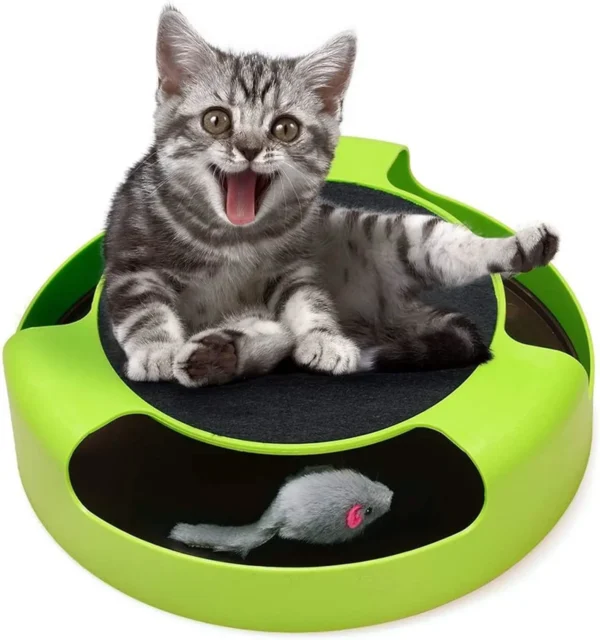 Pet Tumbler Mouse – Color Box