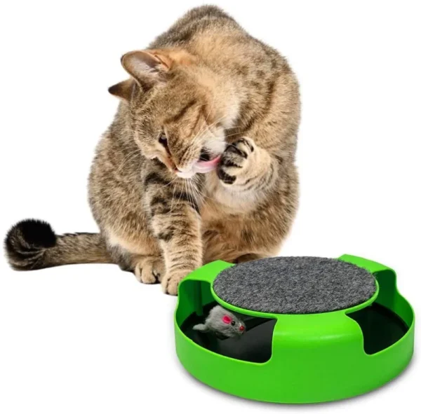 Pet Tumbler Mouse – Color Box - Image 3