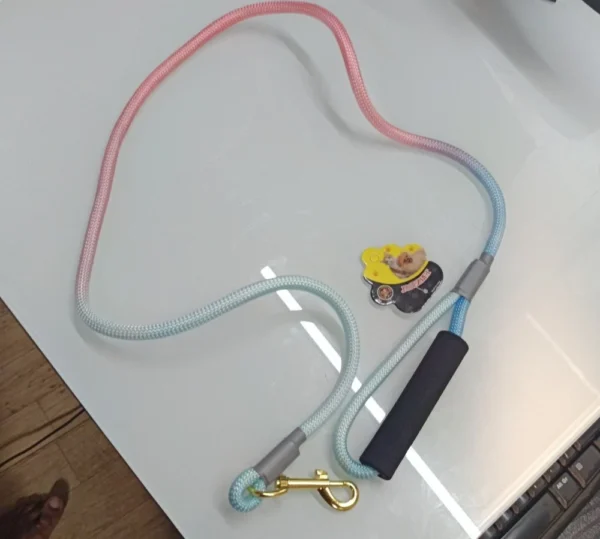 Rope Pet Leash - Image 3